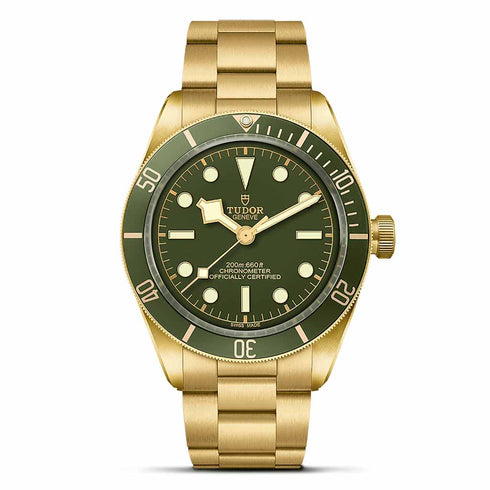 Black Bay 58 Watch - 1